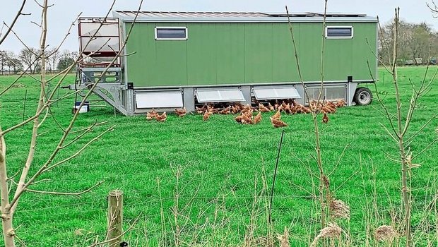 Schon seit über drei Schon seit über drei Jahren betreibt Auswanderin Sandra Hussmann mit ihrem Mann als Hobby ein Hühnermobil mit max. 340 Tierplätzen. Sie verkaufen die Erzeugnisse zum grössten Teil direkt.