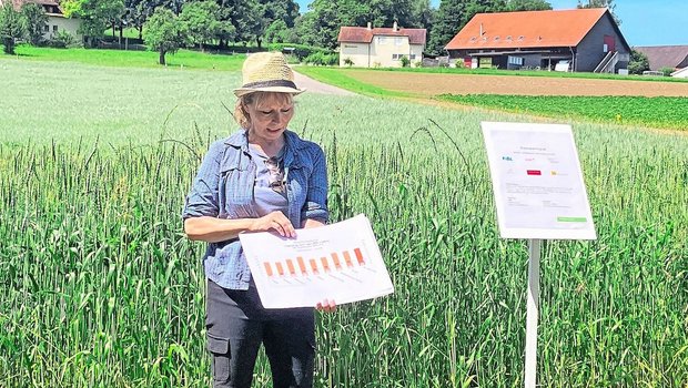 Katrin Carrel empfiehlt interessierten Dinkelproduzent(innen), schon vor der Aussaat einen Marktpartner zu suchen.