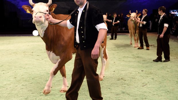 Swiss Expo 2020