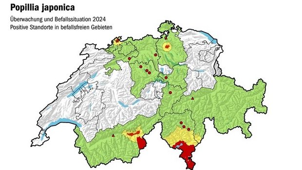 Die Japankäfer-Situa Die Japankäfer-Situation in der Schweiz. Nördlich der Alpen gibt es Befallsherde im Oberwallis, Kloten und Basel.